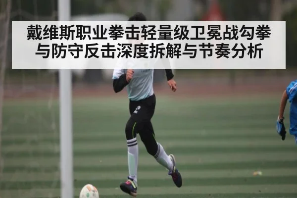 戴维斯职业拳击轻量级卫冕战勾拳与防守反击深度拆解与节奏分析